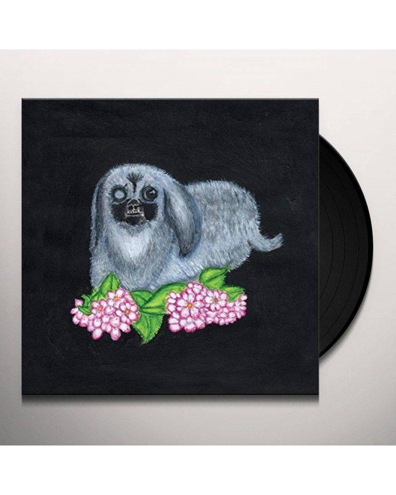 Guadalupe Plata 2017 Vinyl Record $8.40 Vinyl