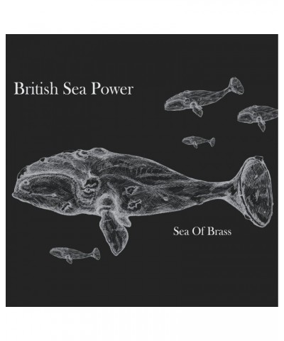 British Sea Power Sea of Brass Vinyl Record $8.00 Vinyl