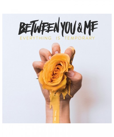 Between You & Me EVERYTHING IS TEMPORARY CD $4.94 CD